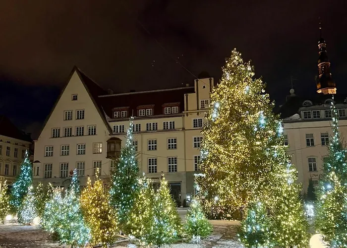 Stylish With Sauna Old Town, Town Hall Square Tallin